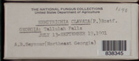 Image Associated With the Occurence